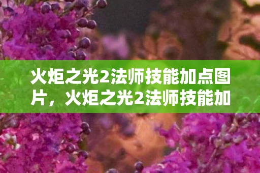 火炬之光2法师技能加点图片，火炬之光2法师技能加点攻略