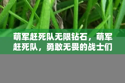 萌军赶死队无限钻石，萌军赶死队，勇敢无畏的战士们