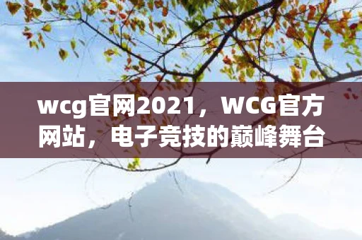 wcg官网2021，WCG官方网站，电子竞技的巅峰舞台