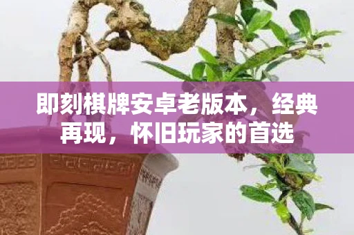 即刻棋牌安卓老版本，经典再现，怀旧玩家的首选