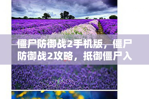 僵尸防御战2手机版，僵尸防御战2攻略，抵御僵尸入侵的顶级策略