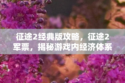 征途2经典版攻略，征途2军票，揭秘游戏内经济体系与战略运用