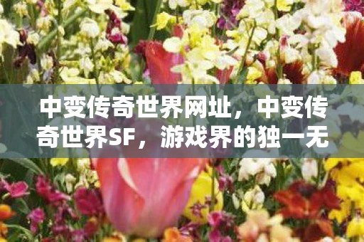 中变传奇世界网址，中变传奇世界SF，游戏界的独一无二资讯频道
