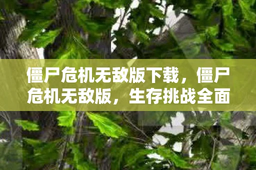 僵尸危机无敌版下载，僵尸危机无敌版，生存挑战全面解析