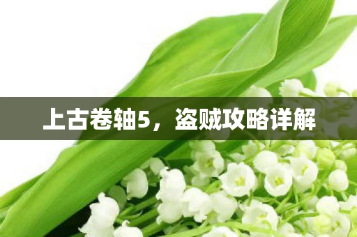 盗贼攻略详解图片
