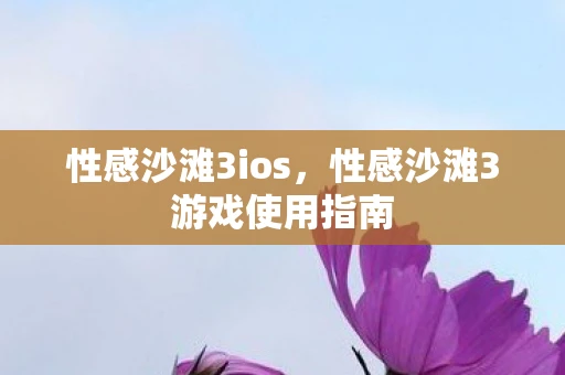 性感沙滩3ios，性感沙滩3游戏使用指南