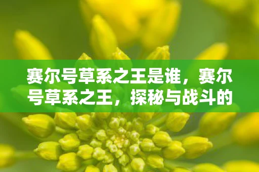 赛尔号草系之王是谁，赛尔号草系之王，探秘与战斗的终极荣耀