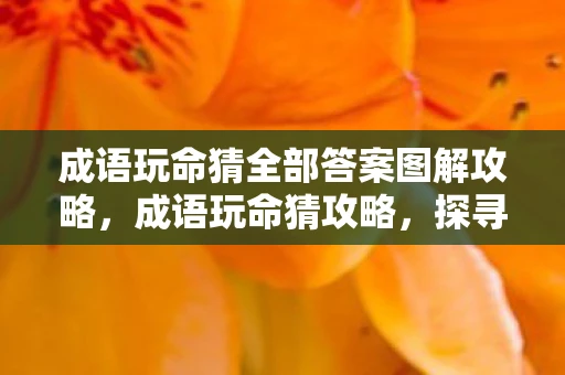 成语玩命猜全部答案图解攻略，成语玩命猜攻略，探寻与传承中华文化的智慧宝藏