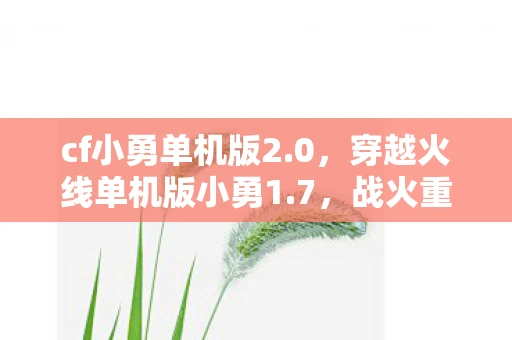 cf小勇单机版2.0，穿越火线单机版小勇1.7，战火重燃