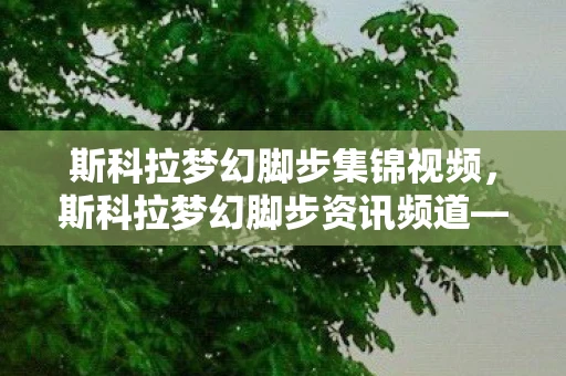 斯科拉梦幻脚步集锦视频，斯科拉梦幻脚步资讯频道—探寻篮球巨星斯科拉的足迹与故事