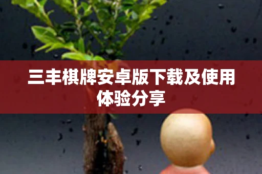 三丰棋牌安卓版下载及使用体验分享