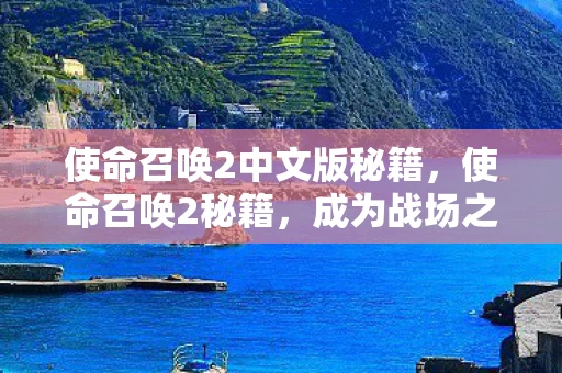 使命召唤2中文版秘籍，使命召唤2秘籍，成为战场之王的秘籍大全