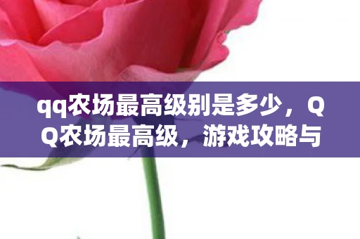 qq农场最高级别是多少，QQ农场最高级，游戏攻略与深度分析