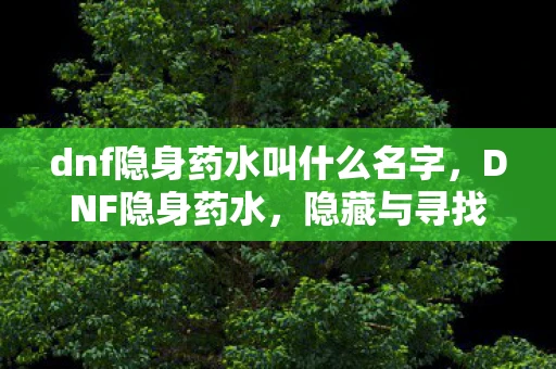 dnf隐身药水叫什么名字，DNF隐身药水，隐藏与寻找的探险之旅