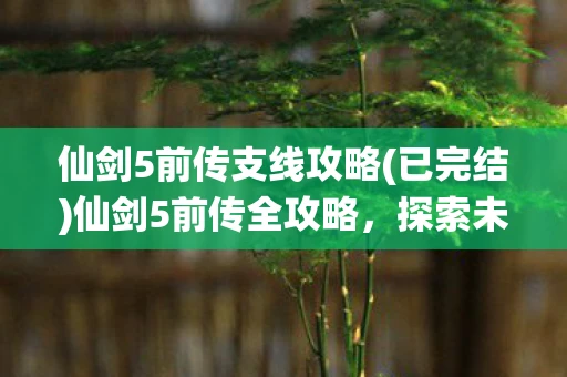 仙剑5前传支线攻略(已完结)仙剑5前传全攻略，探索未知，解锁你的仙侠之旅