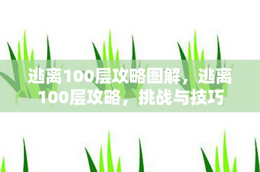 逃离100层攻略图解，逃离100层攻略，挑战与技巧