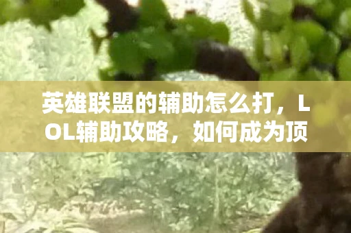 英雄联盟的辅助怎么打，LOL辅助攻略，如何成为顶尖辅助玩家？