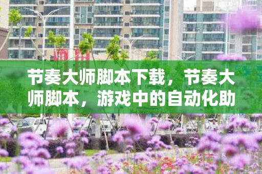 节奏大师脚本下载，节奏大师脚本，游戏中的自动化助手