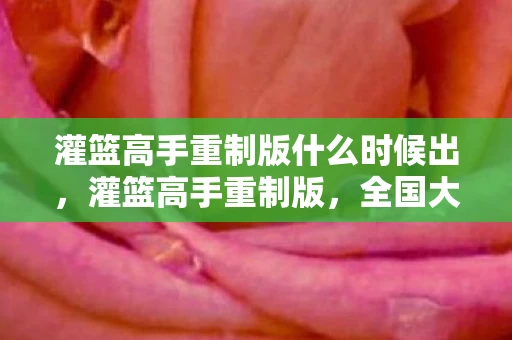 灌篮高手重制版什么时候出，灌篮高手重制版，全国大赛