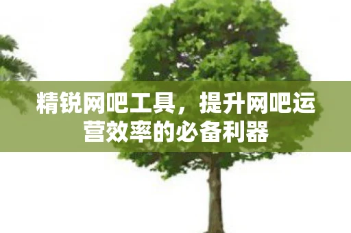 精锐网吧工具，提升网吧运营效率的必备利器