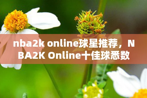 nba2k online球星推荐，NBA2K Online十佳球悉数登场，精彩瞬间，重现辉煌
