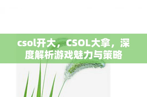 csol开大，CSOL大拿，深度解析游戏魅力与策略