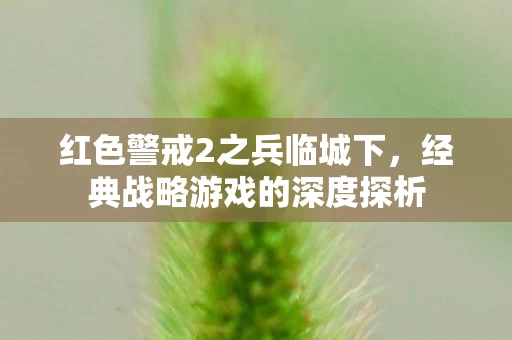 经典战略游戏的深度探析图片