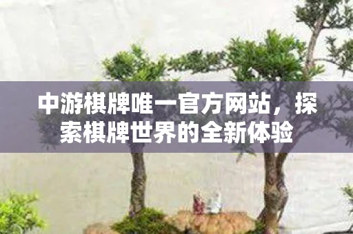 中游棋牌唯一官方网站，探索棋牌世界的全新体验