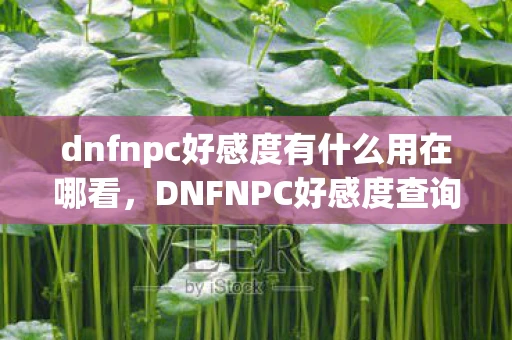 dnfnpc好感度有什么用在哪看，DNFNPC好感度查询，悉数解读