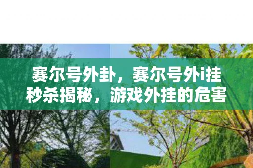 赛尔号外卦，赛尔号外i挂秒杀揭秘，游戏外挂的危害与防范