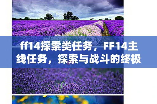 ff14探索类任务，FF14主线任务，探索与战斗的终极之旅