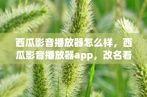 西瓜影音播放器怎么样，西瓜影音播放器app，改名看片神器，满足你的观影需求