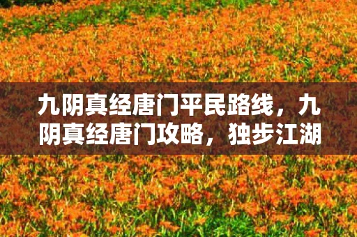 九阴真经唐门平民路线，九阴真经唐门攻略，独步江湖的秘籍
