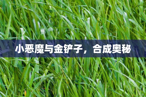 小恶魔与金铲子图片