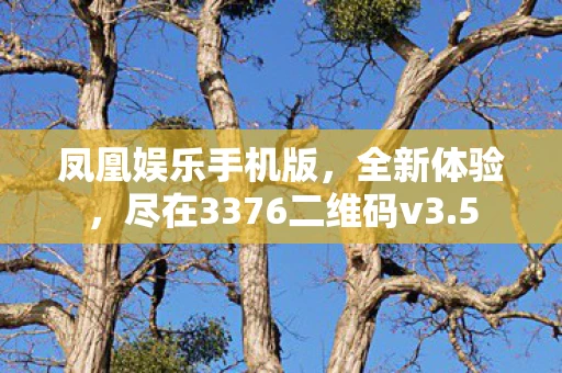 凤凰娱乐手机版，全新体验，尽在3376二维码v3.5