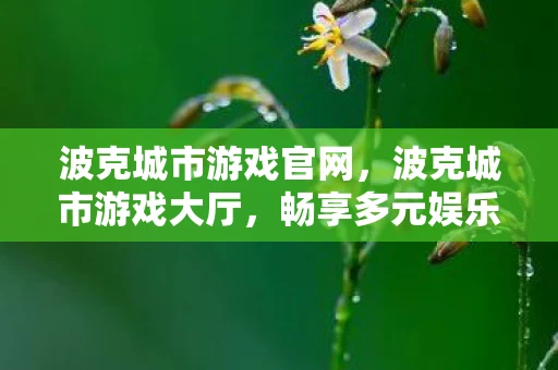 波克城市游戏官网，波克城市游戏大厅，畅享多元娱乐新体验