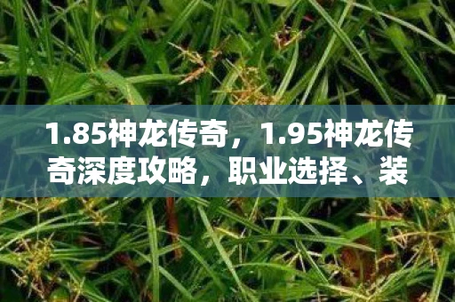 1.85神龙传奇，1.95神龙传奇深度攻略，职业选择、装备升级与PVP战斗策略