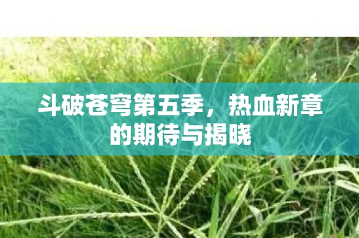 热血新章的期待与揭晓图片