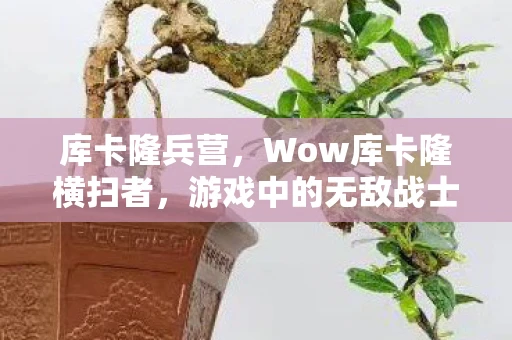 库卡隆兵营，Wow库卡隆横扫者，游戏中的无敌战士