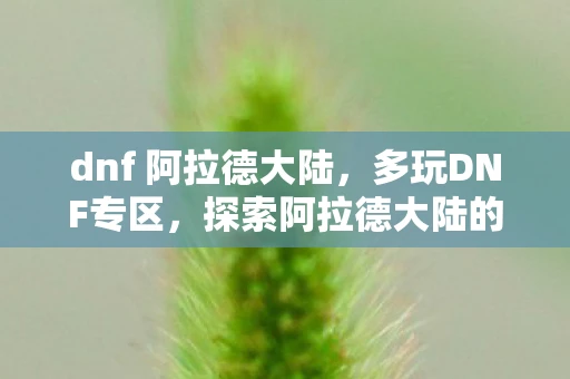 dnf 阿拉德大陆，多玩DNF专区，探索阿拉德大陆的无限魅力