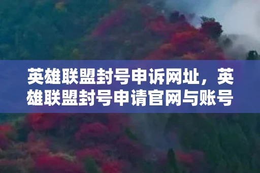 英雄联盟封号申诉网址，英雄联盟封号申请官网与账号管理