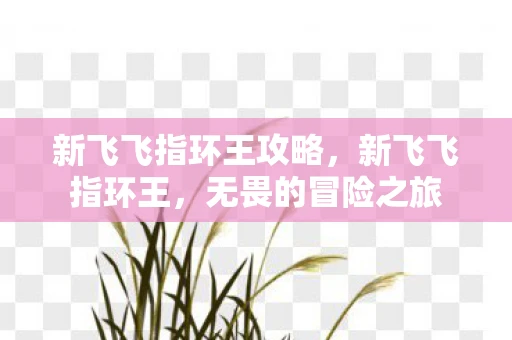新飞飞指环王攻略，新飞飞指环王，无畏的冒险之旅