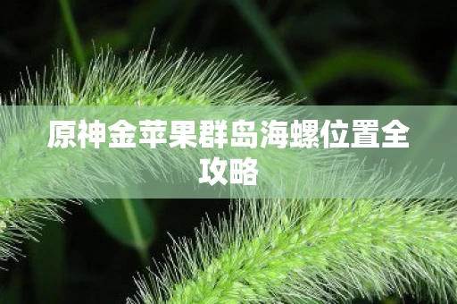 原神金苹果群岛海螺位置全攻略图片
