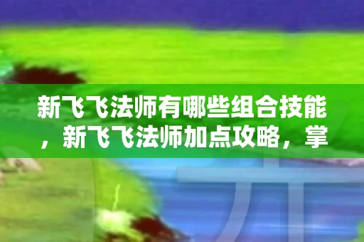 新飞飞法师有哪些组合技能，新飞飞法师加点攻略，掌握关键技能，成为无敌法师！