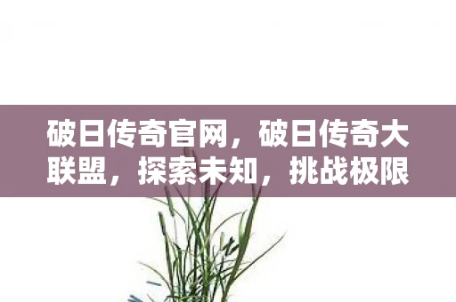 破日传奇官网，破日传奇大联盟，探索未知，挑战极限