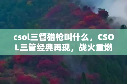 csol三管猎枪叫什么，CSOL三管经典再现，战火重燃