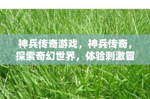 神兵传奇游戏，神兵传奇，探索奇幻世界，体验刺激冒险—值得一试的游戏吗？