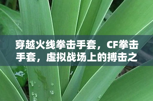 穿越火线拳击手套，CF拳击手套，虚拟战场上的搏击之王