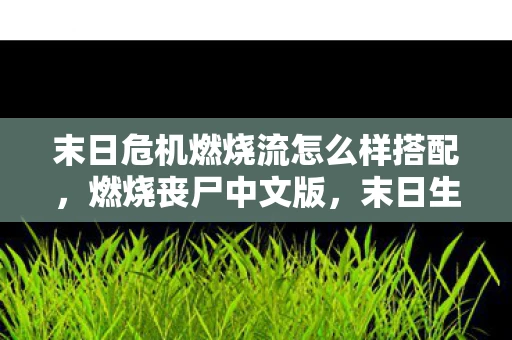 末日危机燃烧流怎么样搭配，燃烧丧尸中文版，末日生存之战