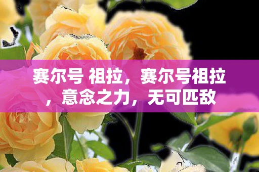 赛尔号 祖拉，赛尔号祖拉，意念之力，无可匹敌